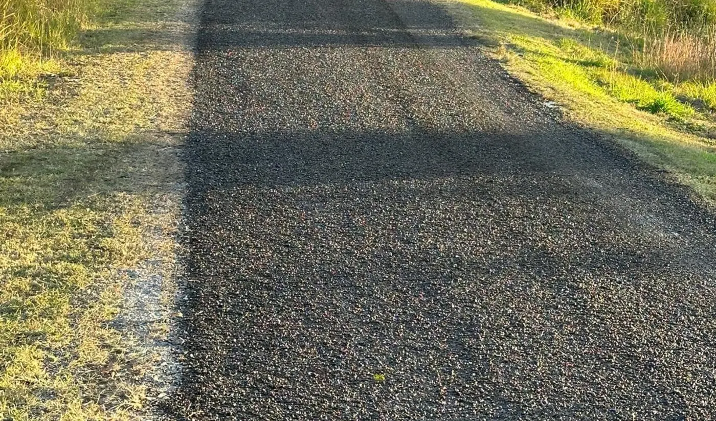 A bitumen spray seal access road with a chip aggregate surface, bordered by grass and trees