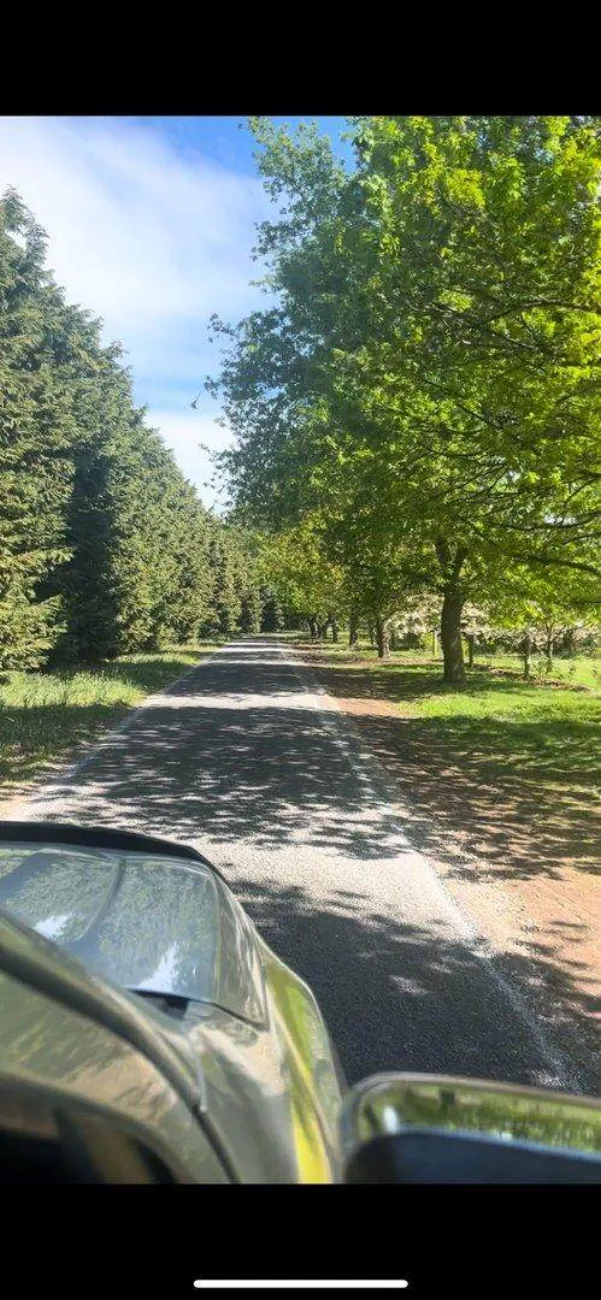 A tree lined rural driveway freshly sealed by Road Ways