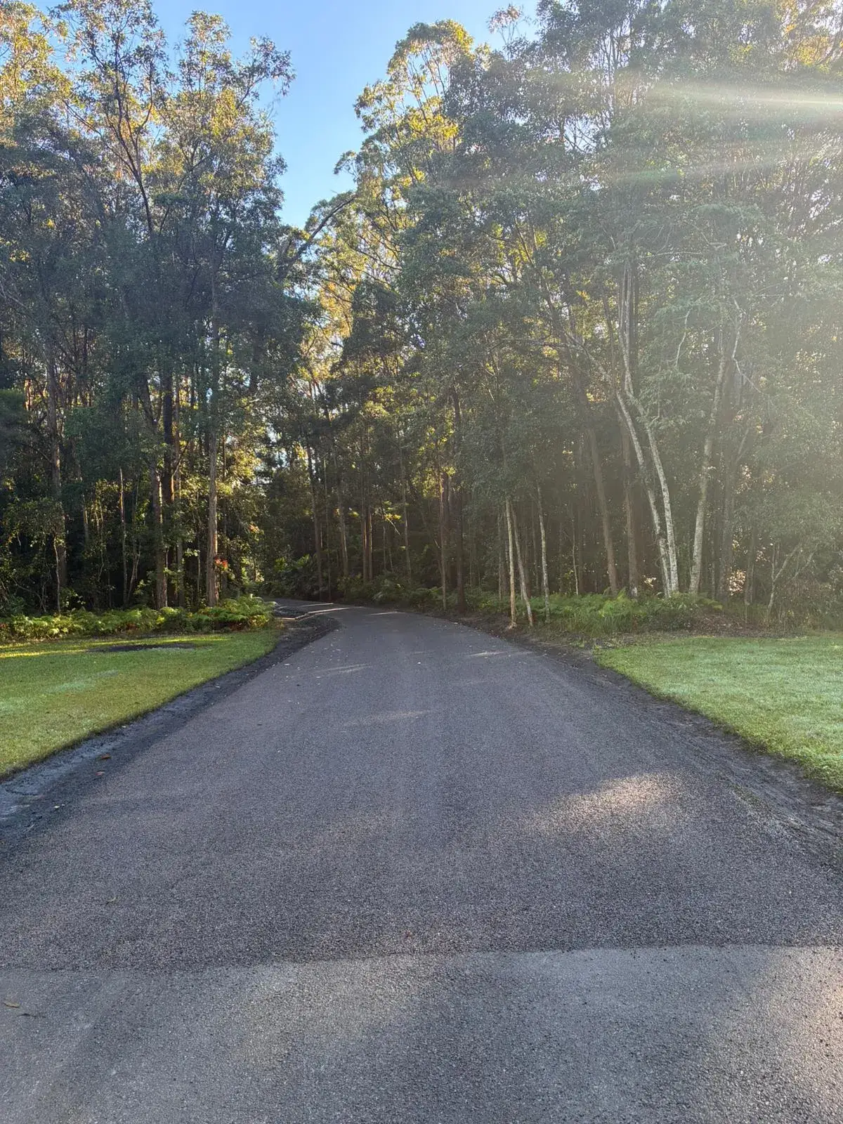 A long asphalt driveway lined with eucalyptus trees and mown lawn